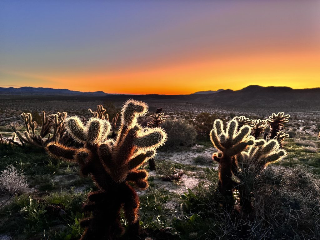 Beautiful desert sunrise in the southern Anza Borrego Desert