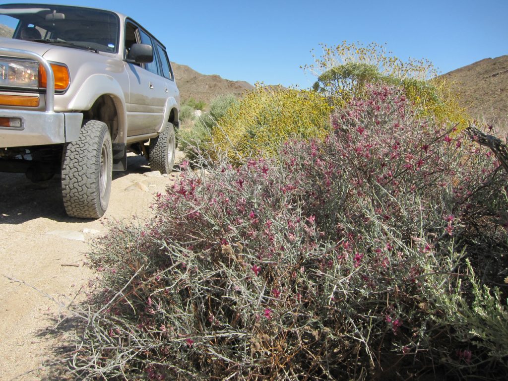 Lumbering up Carrizo Gorge in our diesel Toyota Land Cruiser